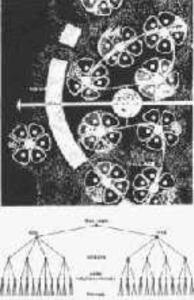 Screen Shot 2018-02-22 at 8.04.02 PM